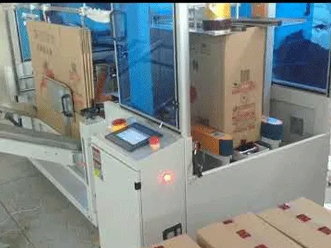 APCE-50 Automatic Carton Erector