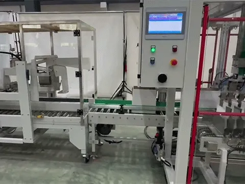 APXY-8040 Case Packing Machine by XY Axis
