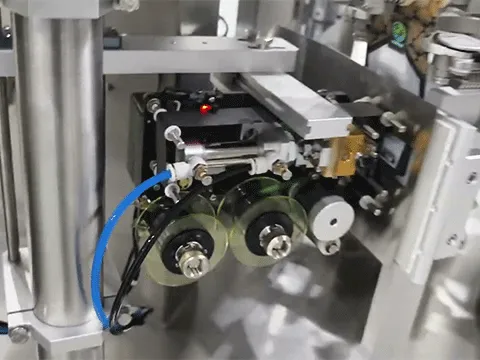 AP-8BT Automatic 8 Station Rotary&Fill Seal Machine for Pre Made Pouch