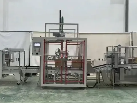 Ketchup Spout Pouch for Filling&Capping+Carton Forming+Case Packing+Carton Sealing+Robot Palletizer Line